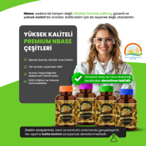 nbase tasarim